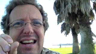 String theory, in 26 seconds